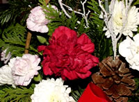 Image of Christmas Flowers