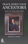Track Down Your Ancestors: Draw Up Your Family Tree (Paperback)