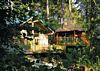 Blackwood Forest Lodges
